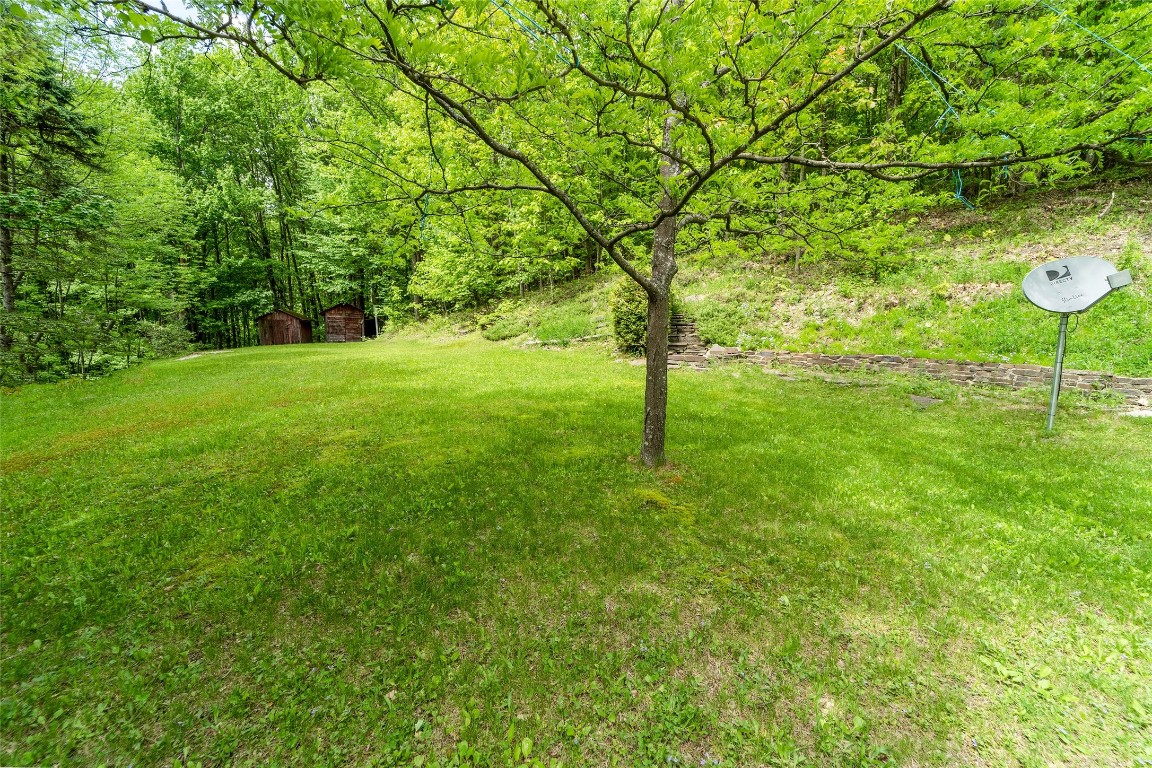 63 Buttercup Hill Road Windsor, NY 13865 - Photo 8 of 24 Gallery Image 8