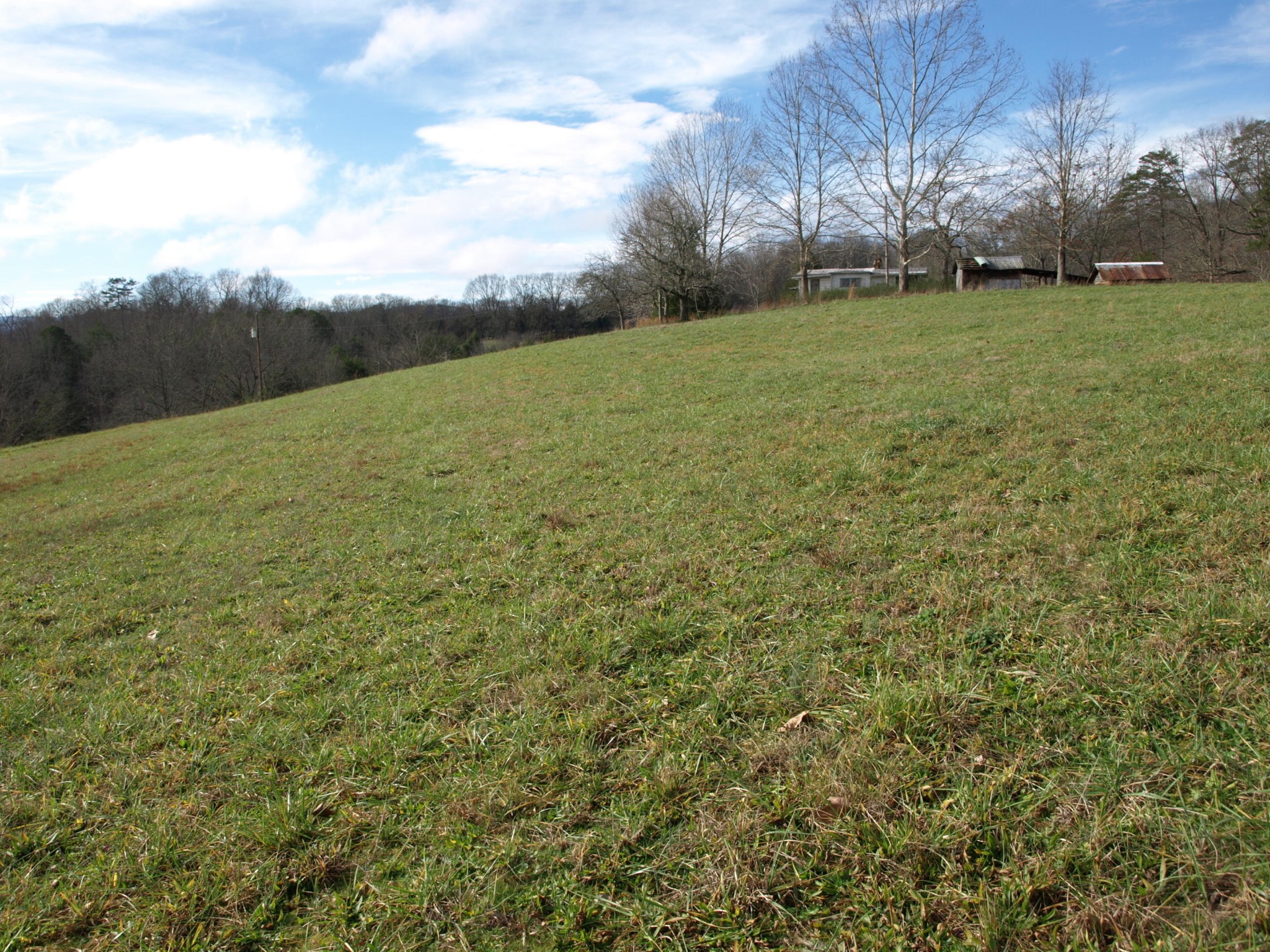 0 Big Creek Road La Follette, TN 37766 - Photo 11 of 30 Gallery Image 11