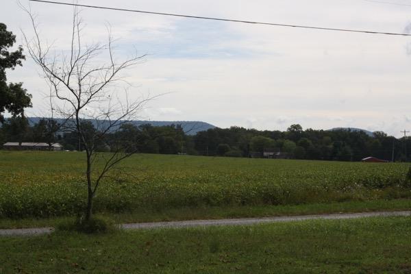 2457 Beacon Light Road Morrison, TN 37357 - Photo 15 of 18 A view from the front porch to enjoy