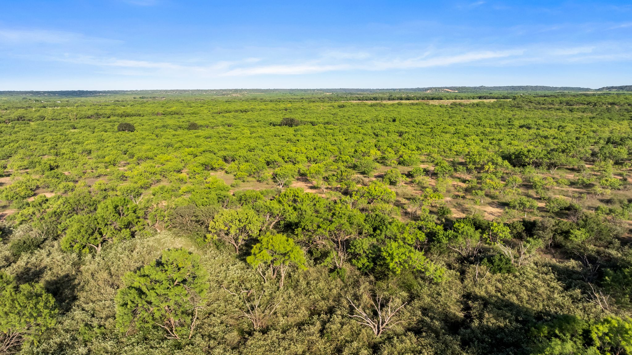 2186 FM 1028 Rochelle, TX 76872 - Photo 10 of 19 Bird's eye view of a heavily wooded area
