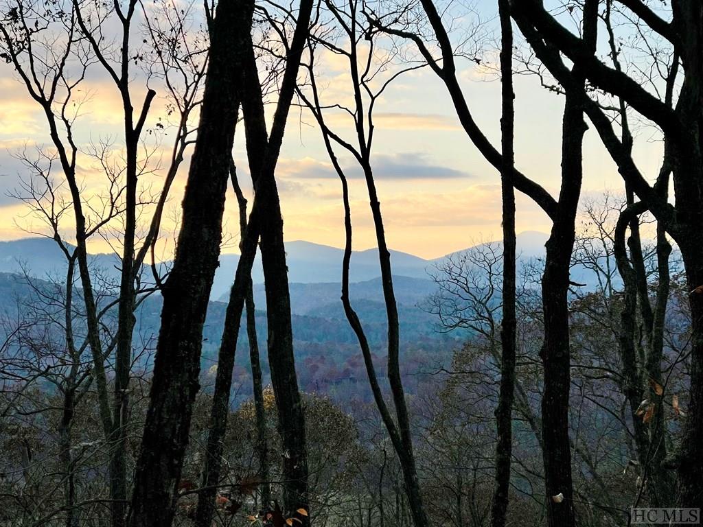 Me-12 Old Chimney Road Cashiers, NC 28717 - Photo 3 of 25 Gallery Image 3