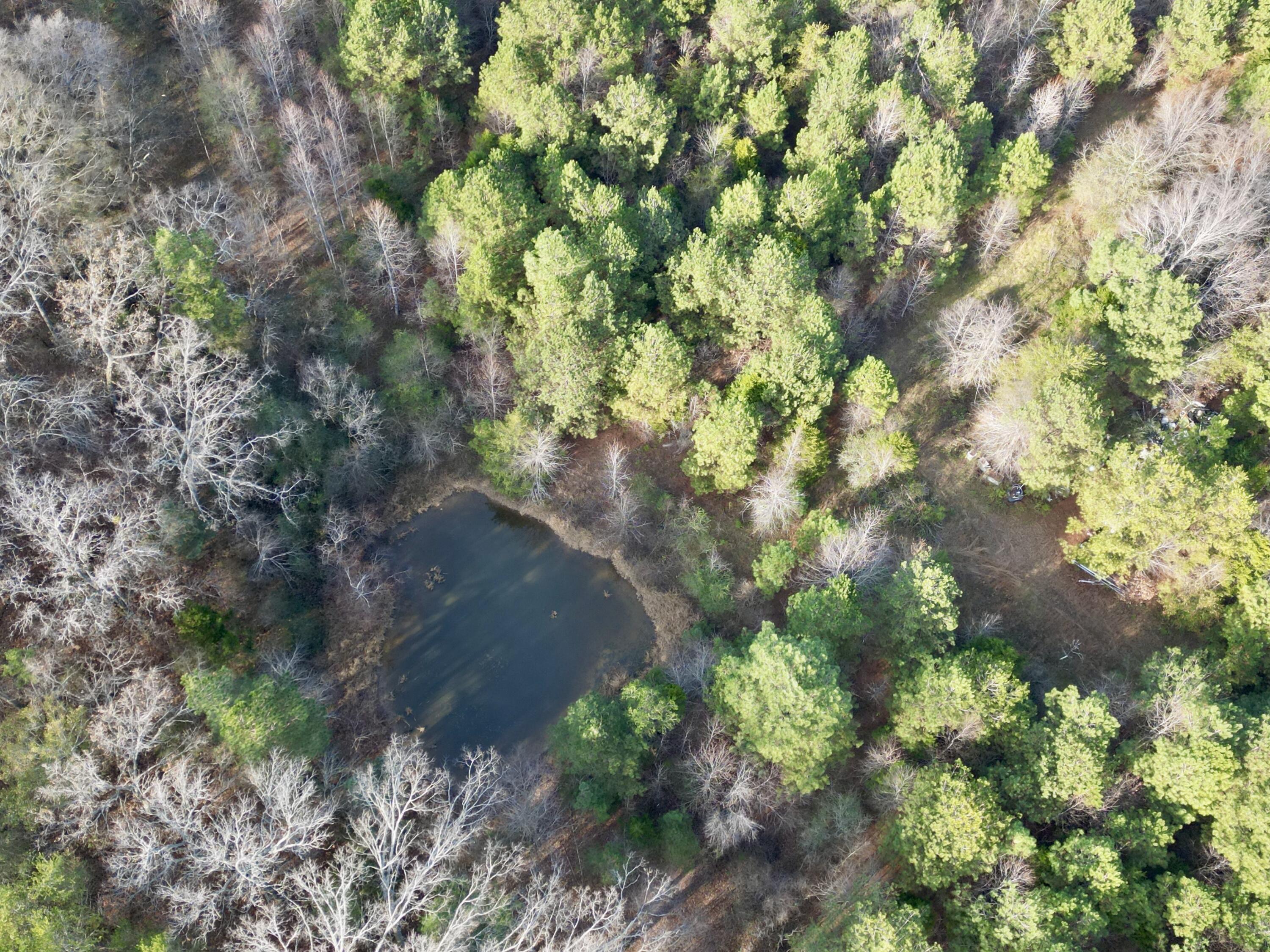 0 Kensington Road Chickamauga, GA 30707 - Photo 13 of 40 dji_fly_20251201_191044_176_176489031119