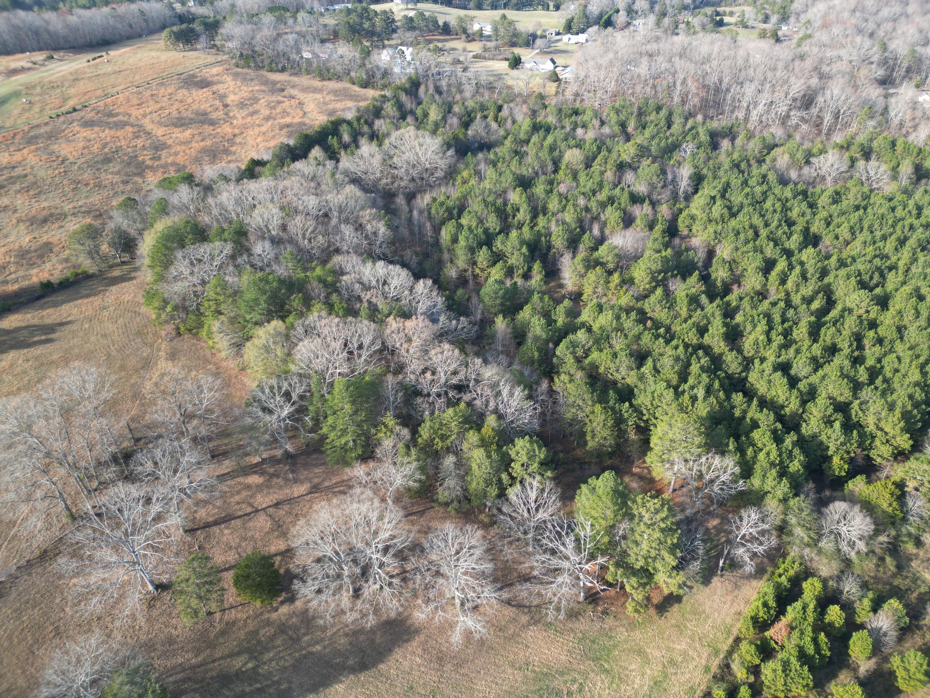 0 Kensington Road Chickamauga, GA 30707 - Photo 20 of 40 dji_fly_20251201_190818_169_176489031361