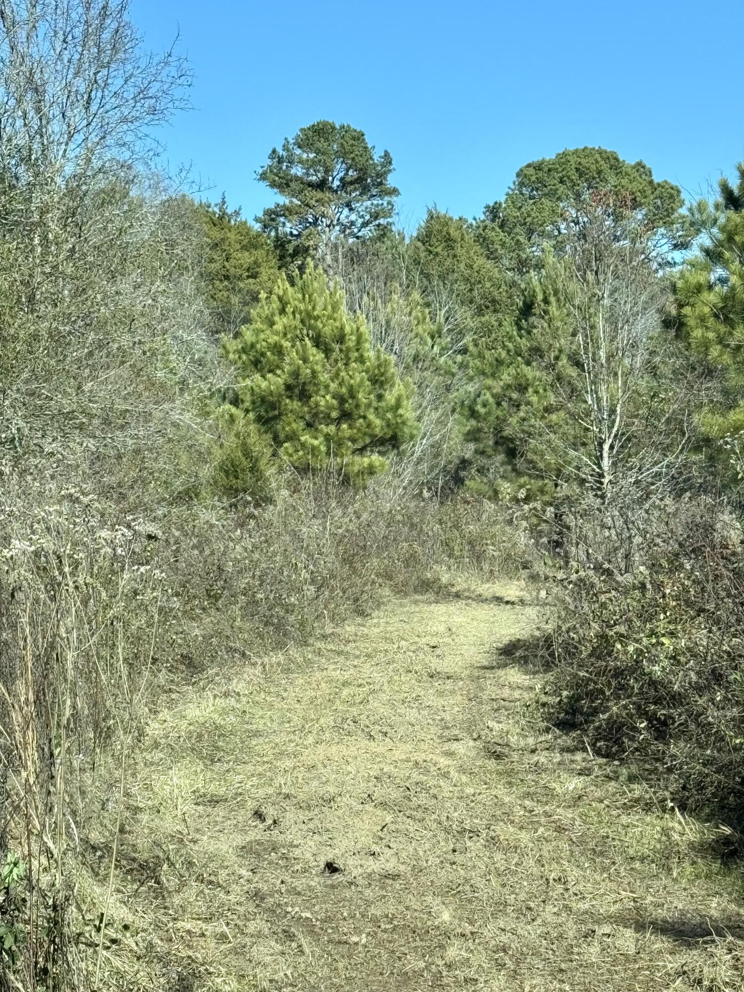 0 Kensington Road Chickamauga, GA 30707 - Photo 2 of 40 IMG_5582