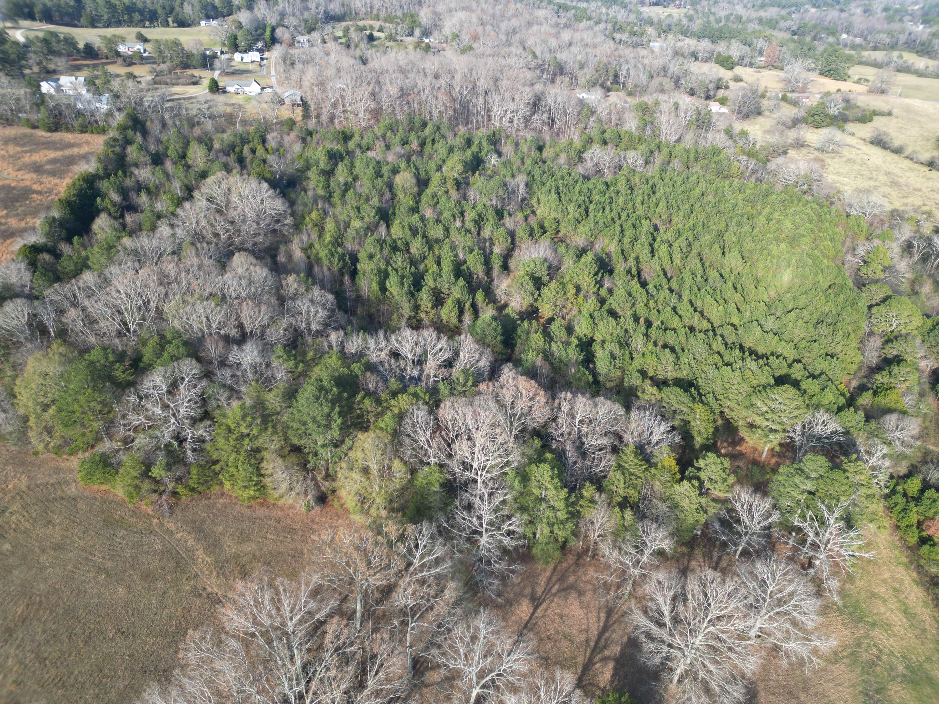 0 Kensington Road Chickamauga, GA 30707 - Photo 21 of 40 dji_fly_20251201_190842_170_176489031324