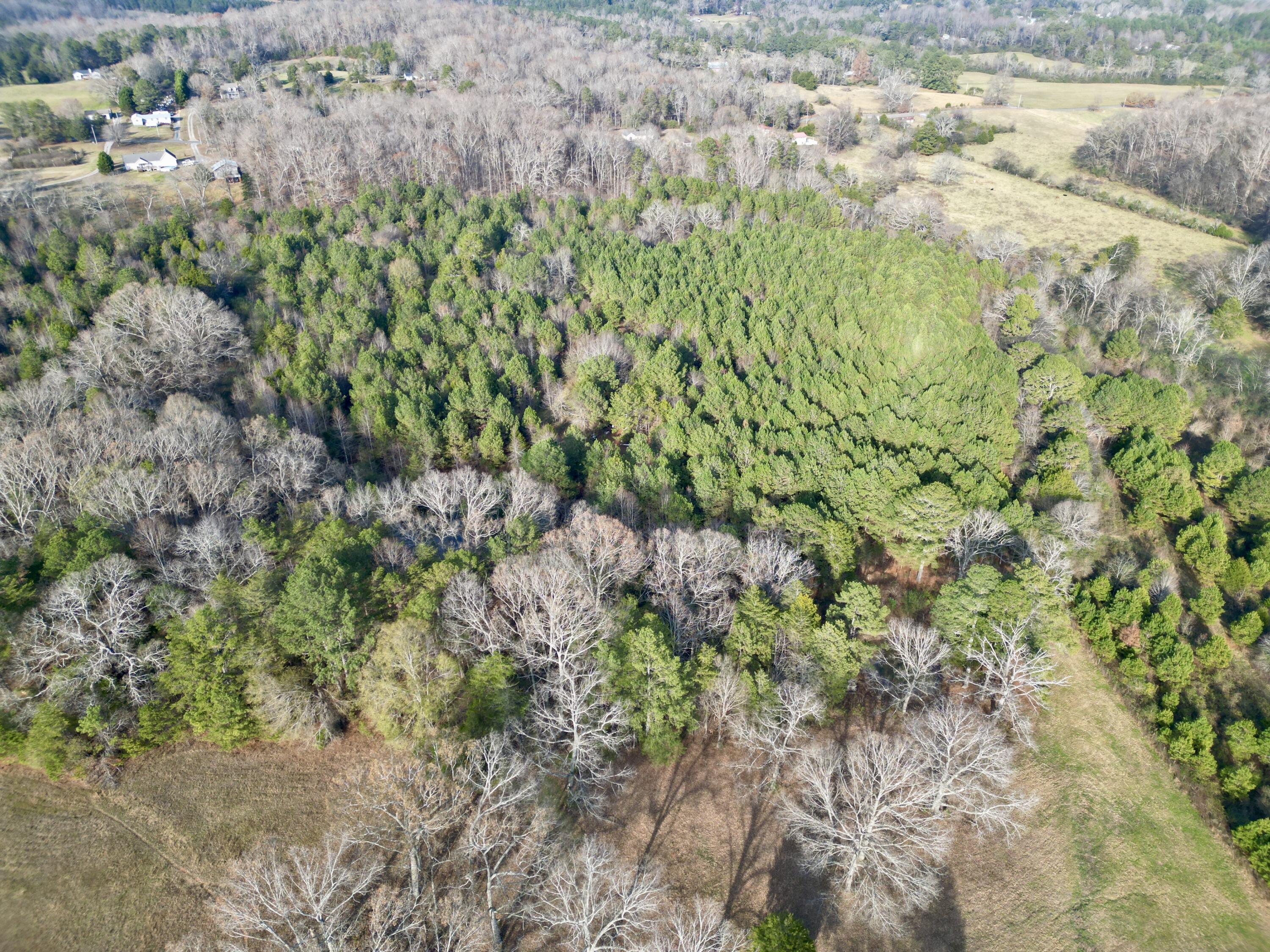 0 Kensington Road Chickamauga, GA 30707 - Photo 25 of 40 dji_fly_20251201_190940_174_176489031191