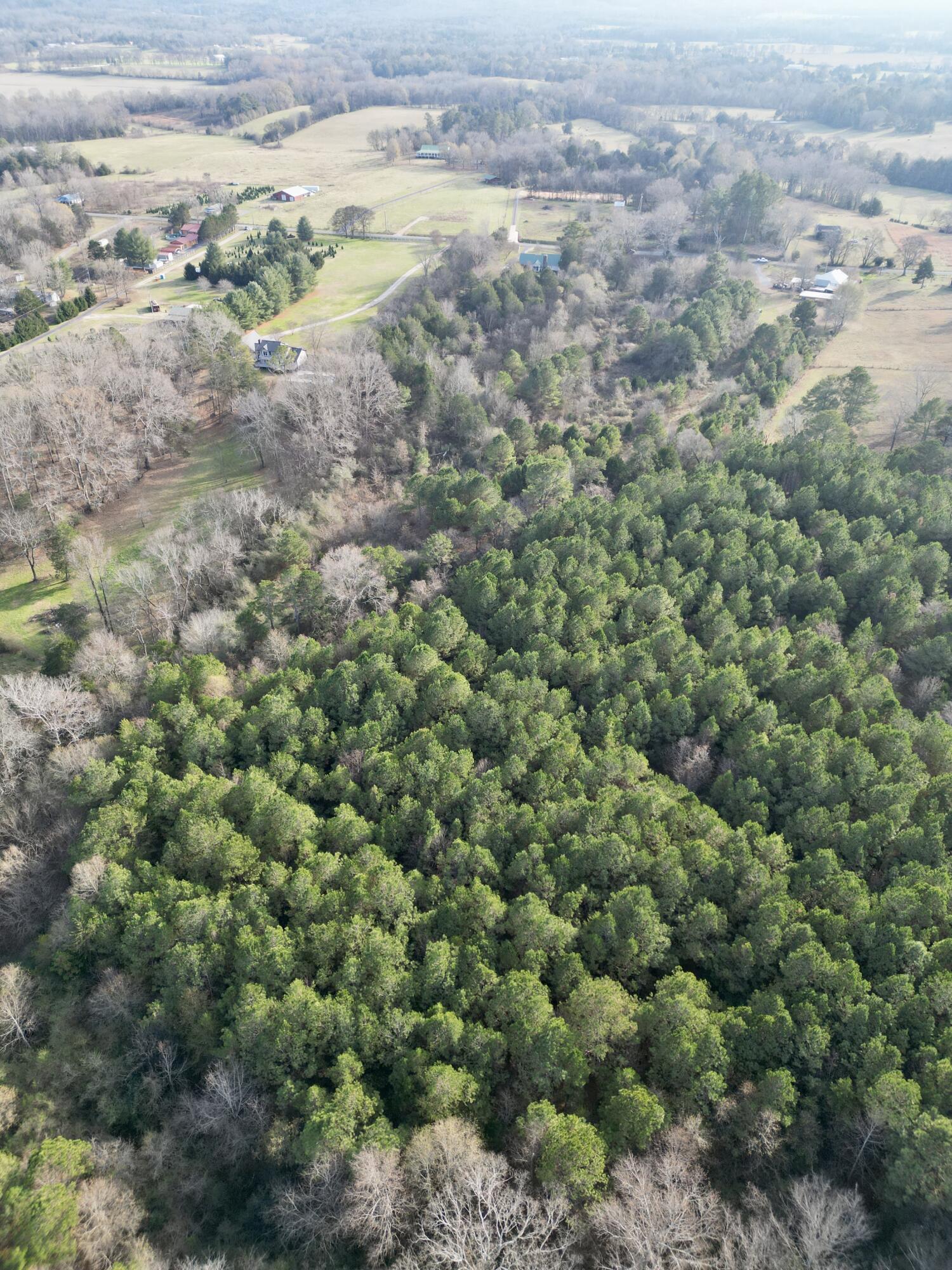 0 Kensington Road Chickamauga, GA 30707 - Photo 30 of 40 dji_fly_20251201_191500_181_176489030948