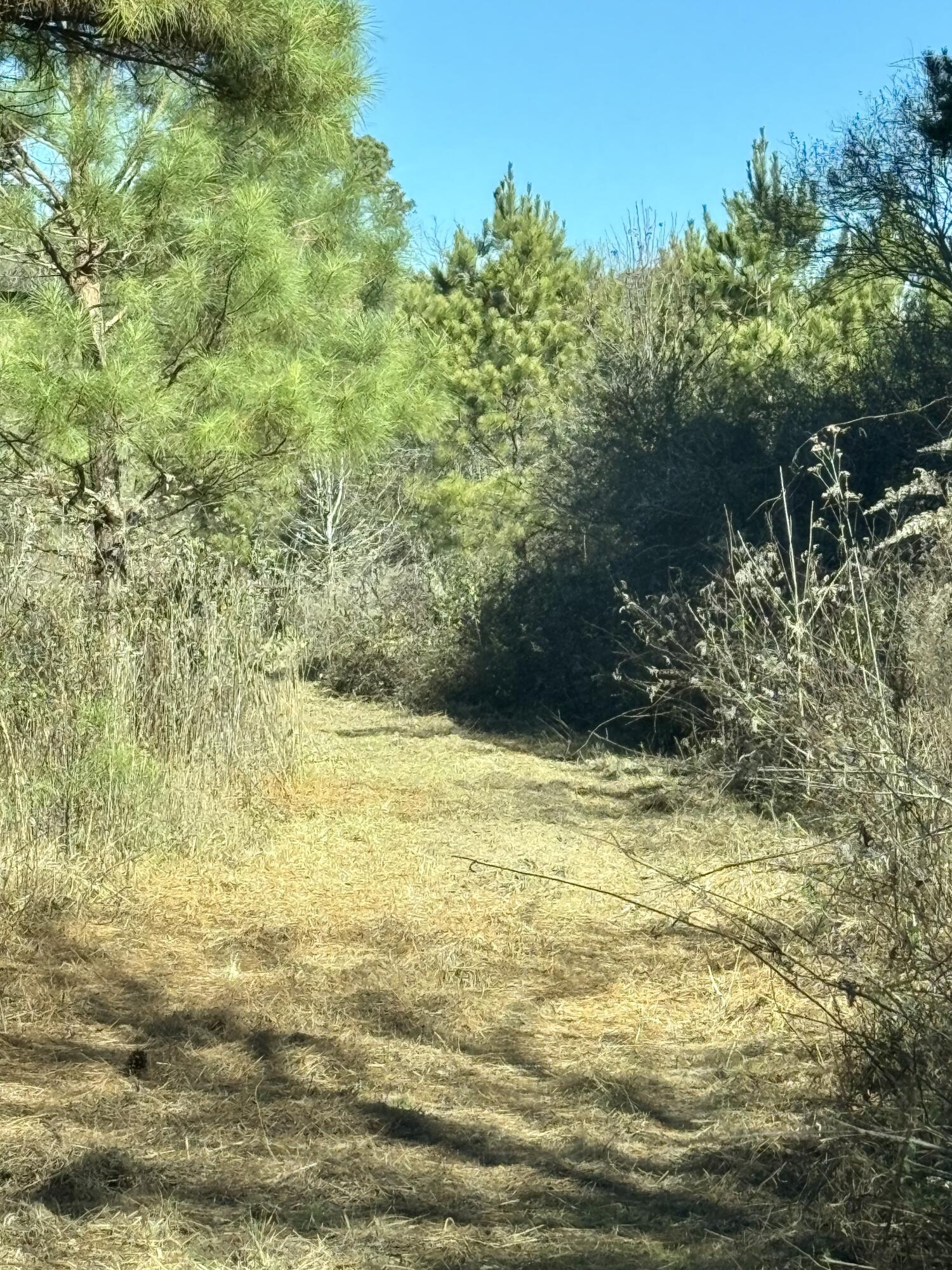 0 Kensington Road Chickamauga, GA 30707 - Photo 3 of 40 IMG_5581