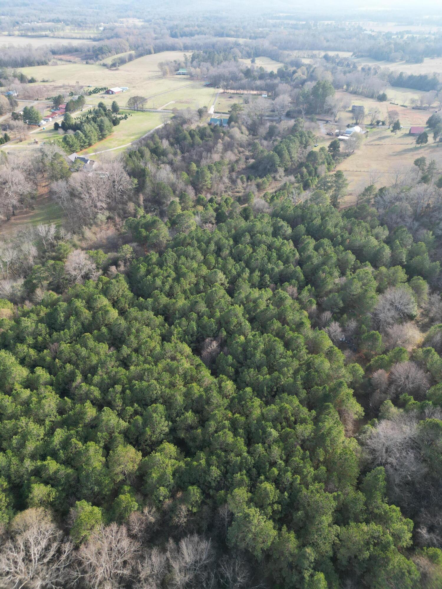 0 Kensington Road Chickamauga, GA 30707 - Photo 31 of 40 dji_fly_20251201_191506_182_176489030911