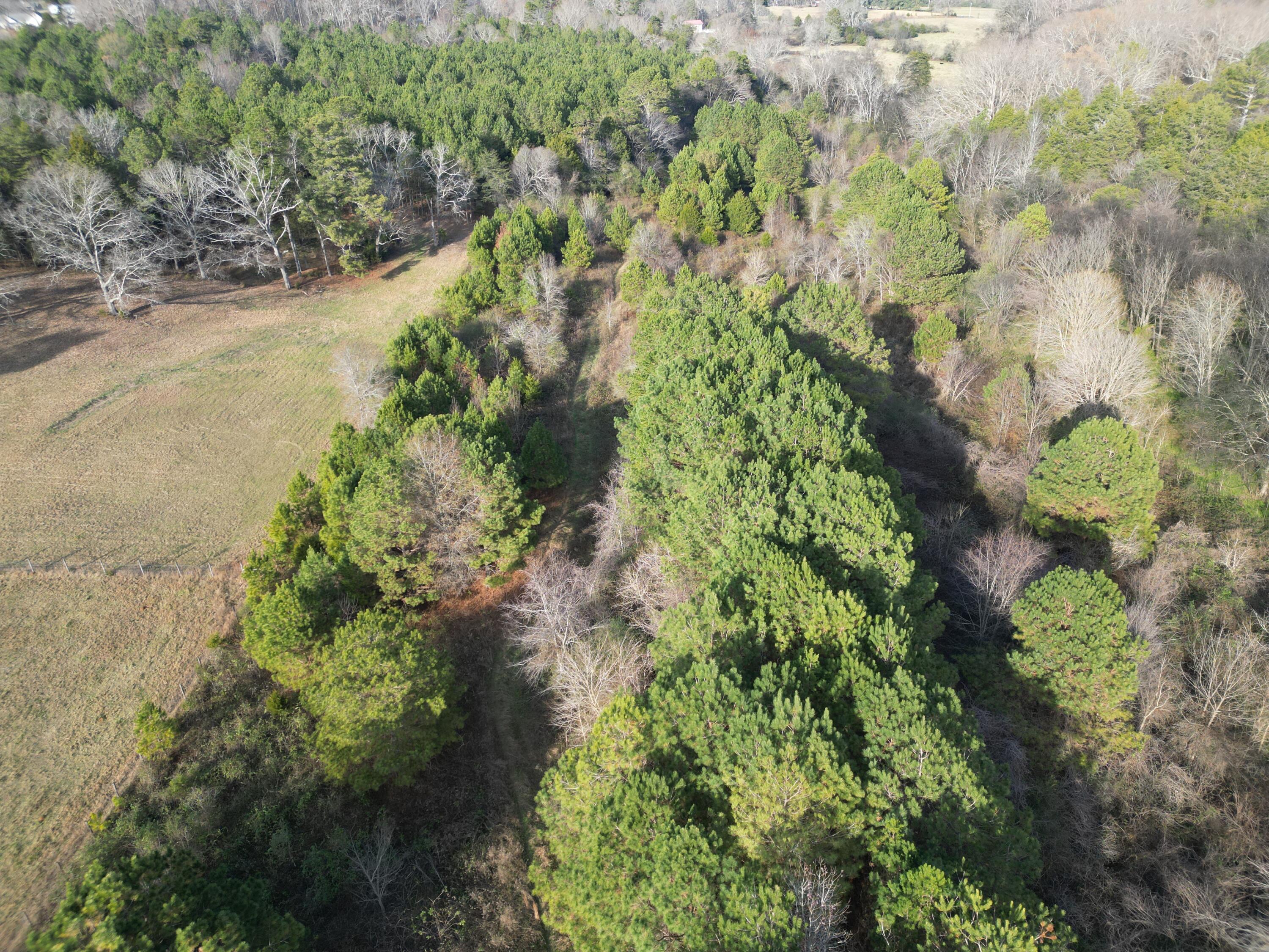 0 Kensington Road Chickamauga, GA 30707 - Photo 33 of 40 dji_fly_20251201_191954_200_176489026719