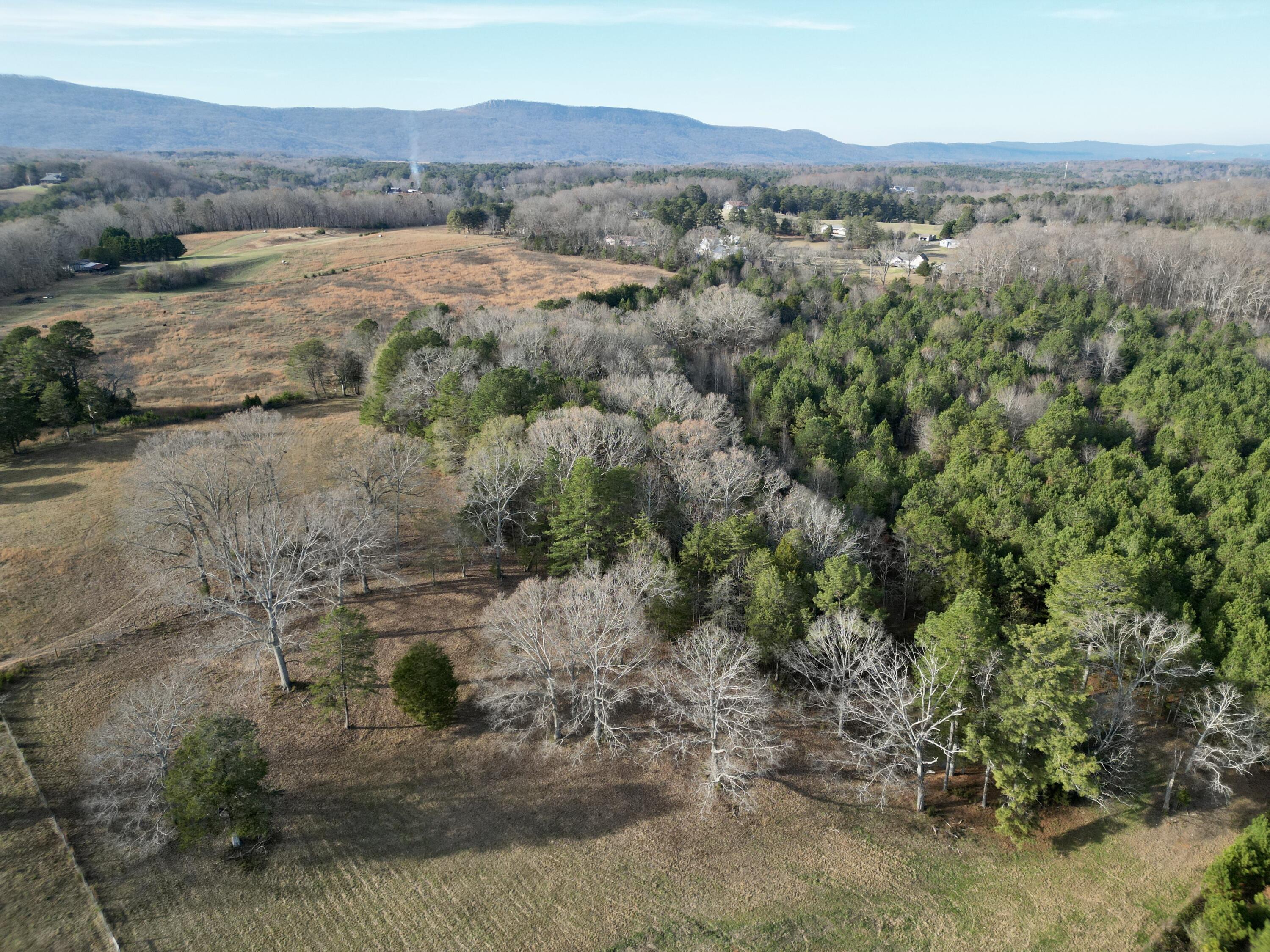 0 Kensington Road Chickamauga, GA 30707 - Photo 9 of 40 dji_fly_20251201_191758_194_176489027412