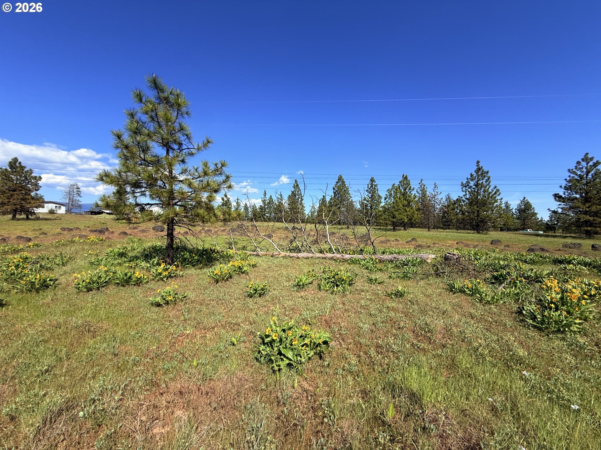 90 Harris Place Goldendale, WA 98620 - Photo 46 of 48