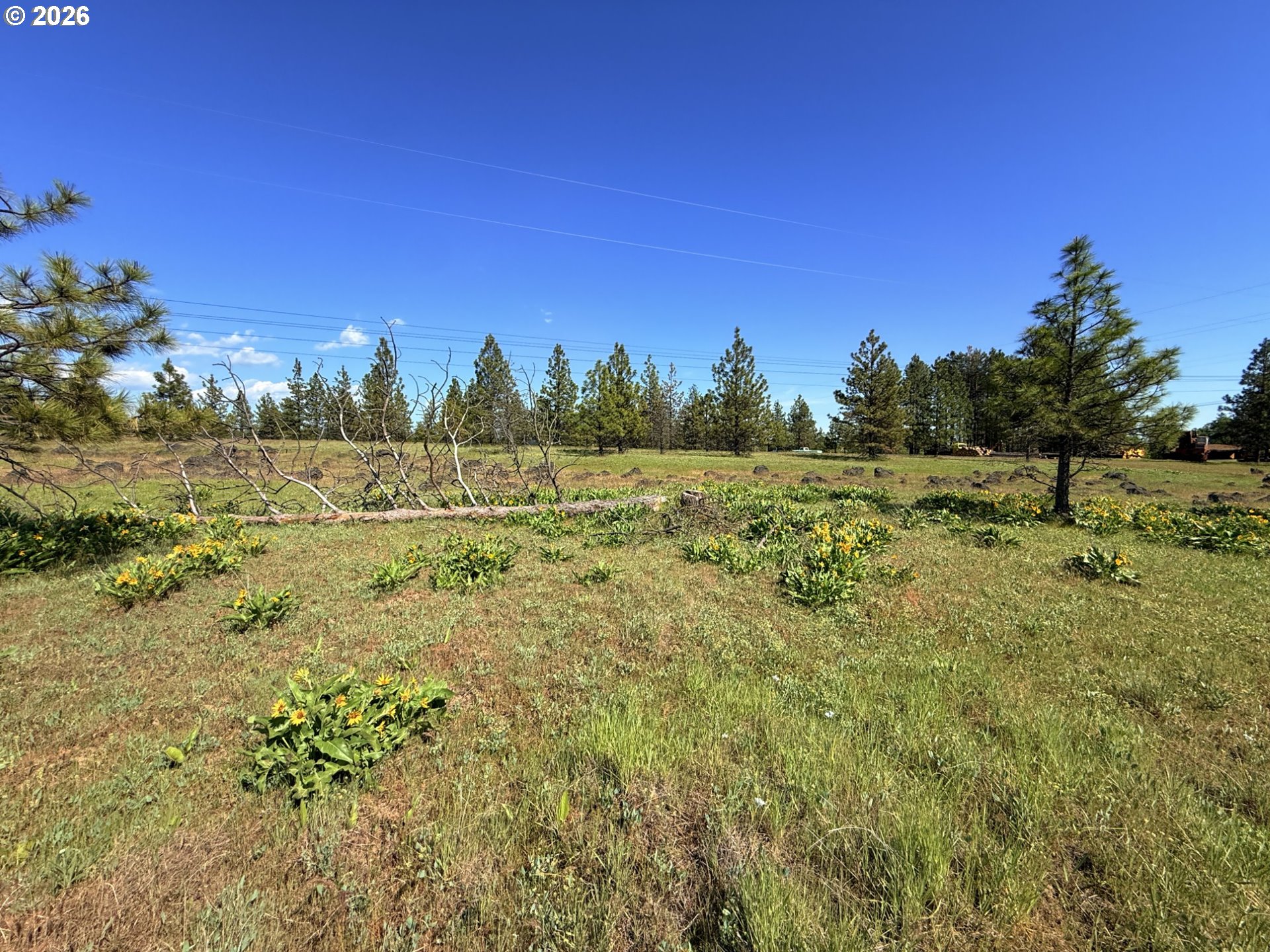 90 Harris Place Goldendale, WA 98620 - Photo 47 of 48