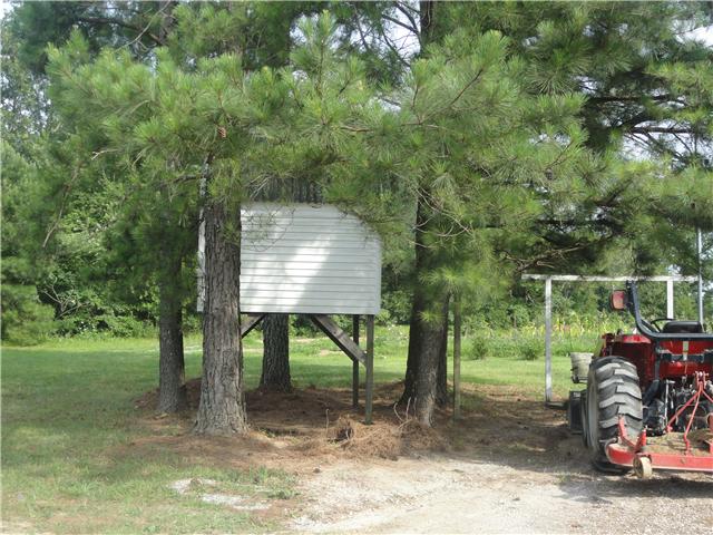 625 Barnesville Road Summertown, TN 38483 - Photo 5 of 17 Gallery Image 5