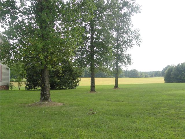 625 Barnesville Road Summertown, TN 38483 - Photo 7 of 17 Gallery Image 7
