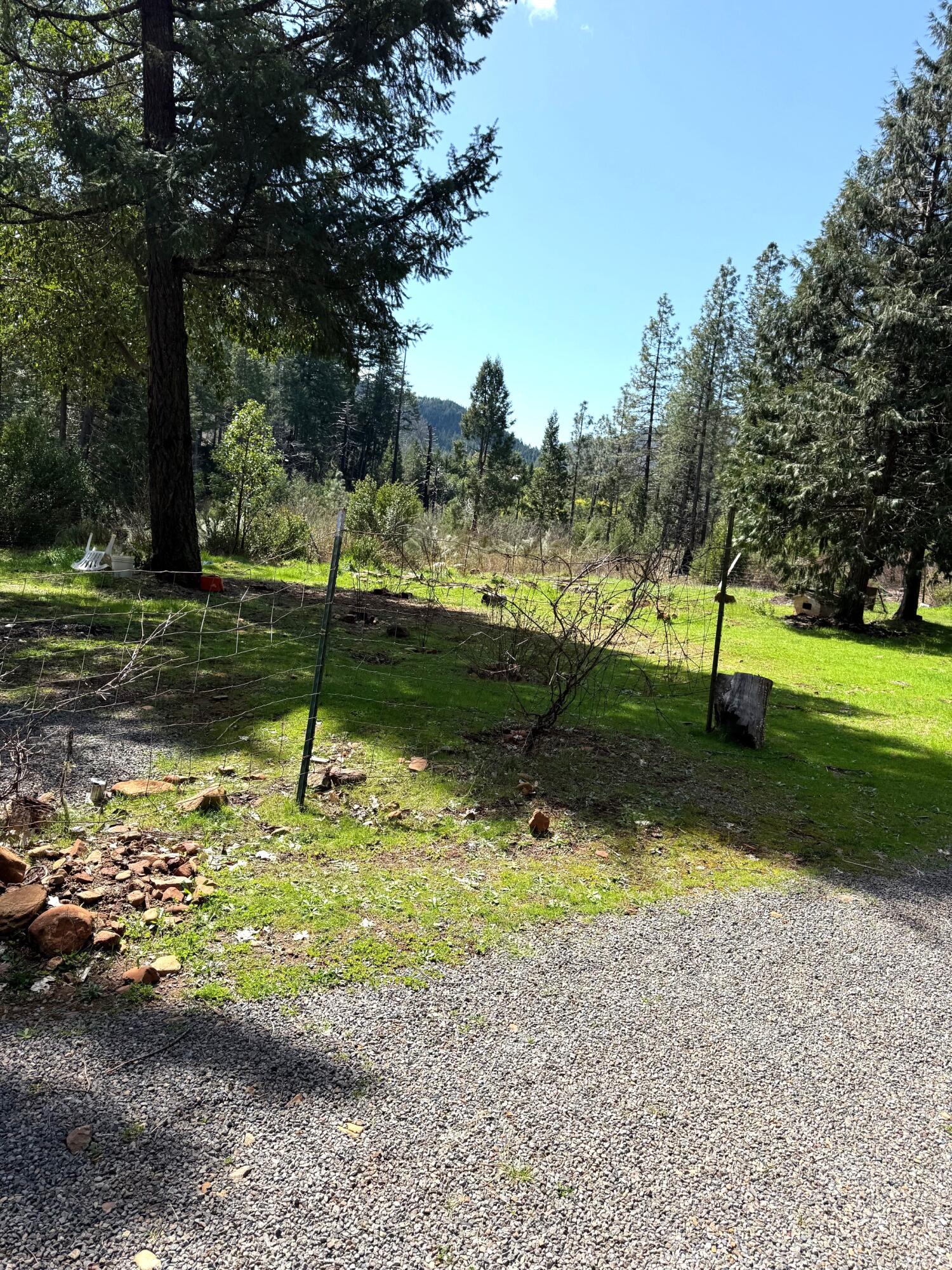 765 Lone Mountain Road O'Brien, OR 97534 - Photo 15 of 16 There is a large area that you could have livestock on.