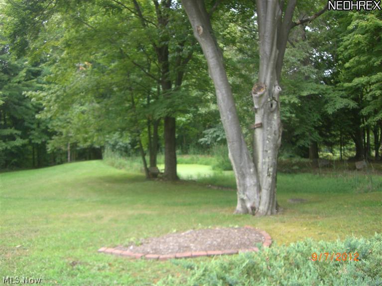 8856 Knauf Road Canfield, OH 44406 - Photo 22 of 23 Gallery Image 22
