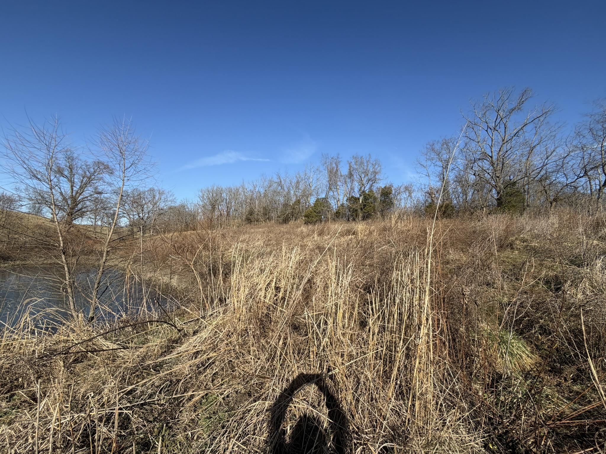 4983 Donaldson Road Mount Sterling, KY 40353 - Photo 12 of 14