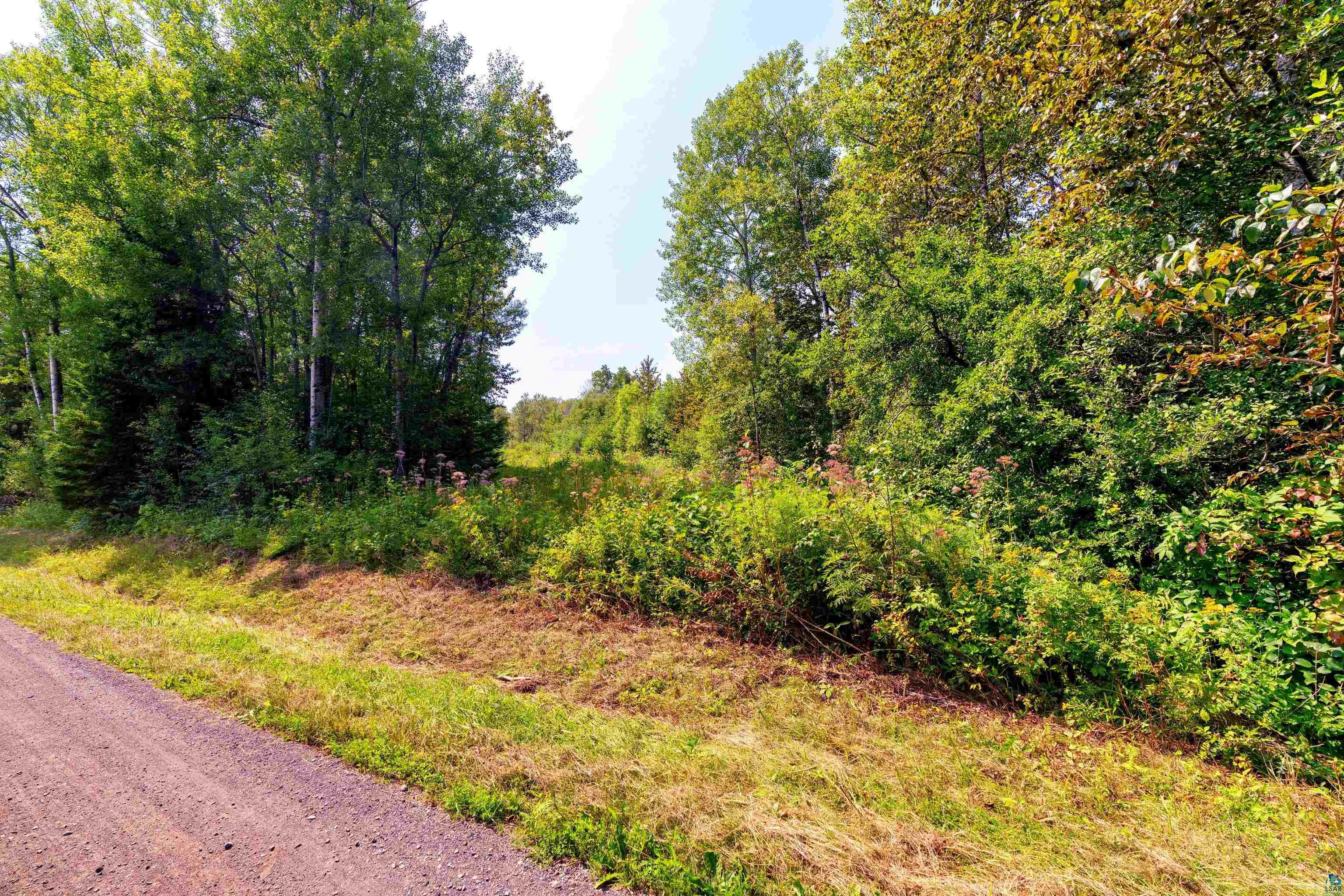 Xx Chase Avenue Duluth, MN 55804 - Photo 3 of 7