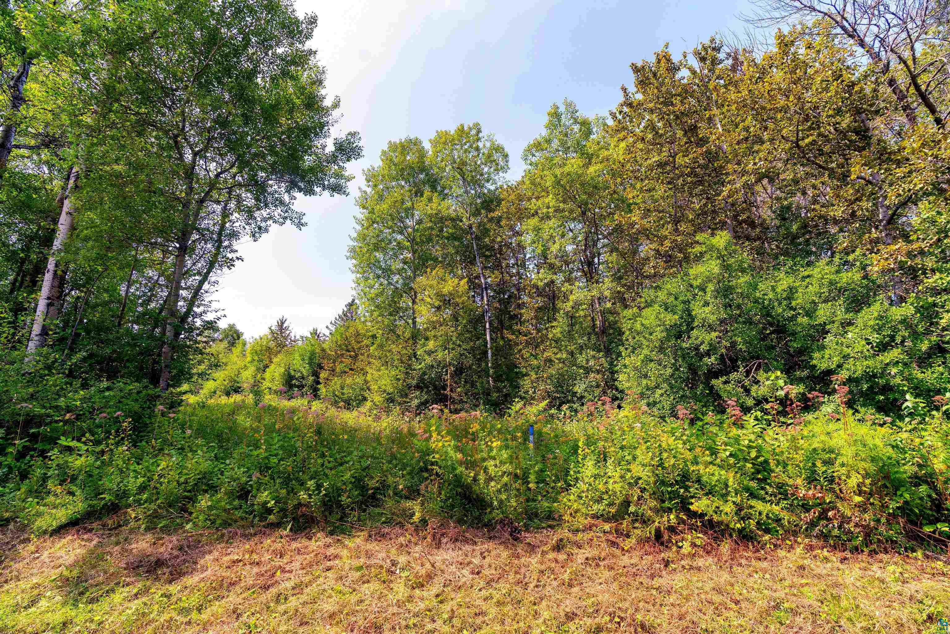 Xx Chase Avenue Duluth, MN 55804 - Photo 4 of 7