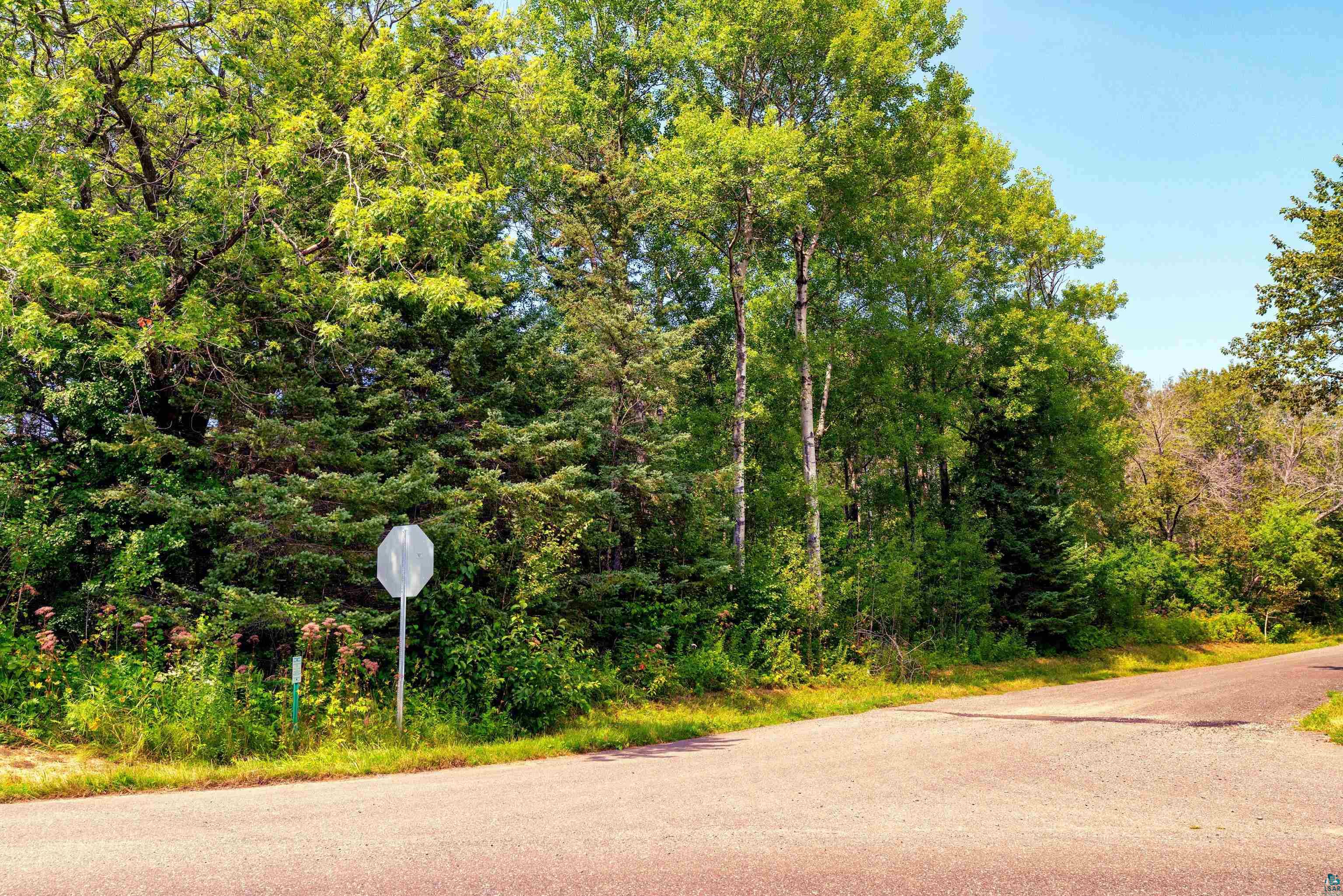 Xx Chase Avenue Duluth, MN 55804 - Photo 6 of 7