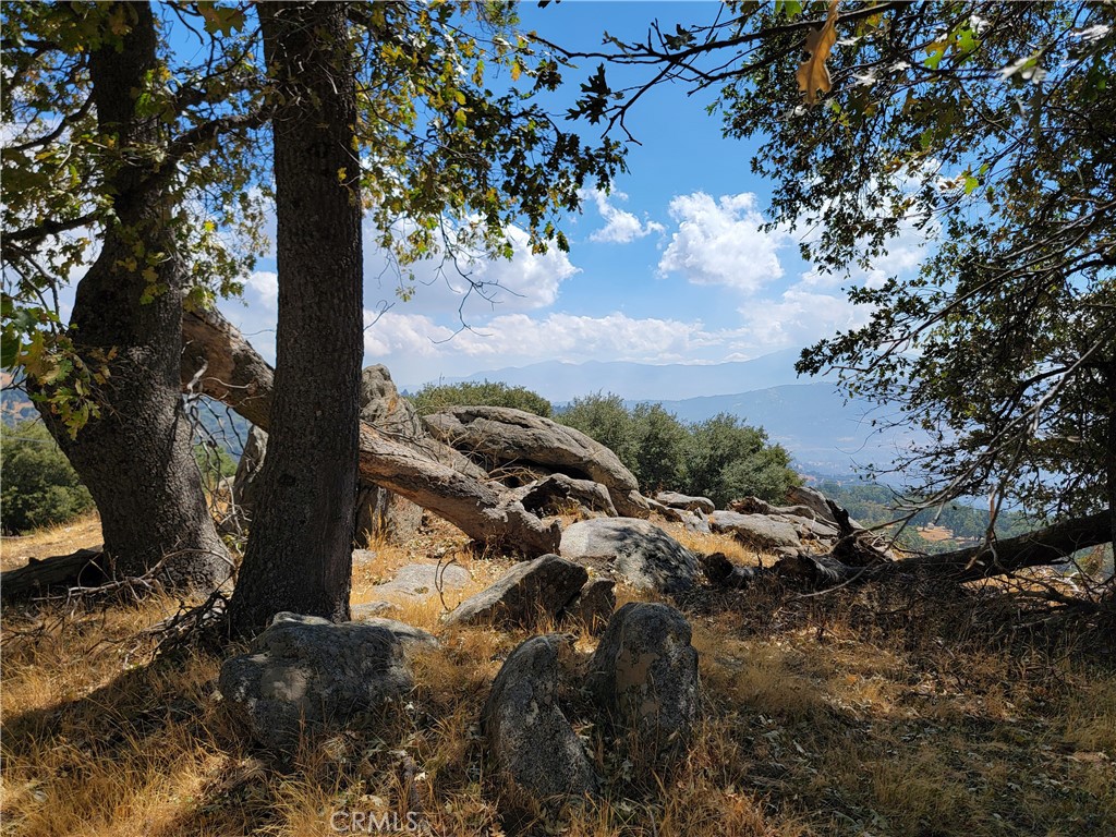 27380 Deertrail Drive Tehachapi, CA 93561 - Photo 35 of 47 a view of a tree in a yard