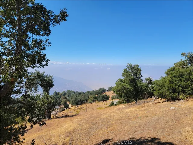 a view of a dry yard with a tree
