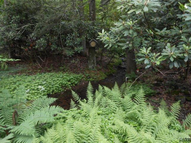 3497 Spruce Cabin Road Cresco, PA 18326 - Photo 14 of 22 a backyard of a house with lots of green space and trees all around