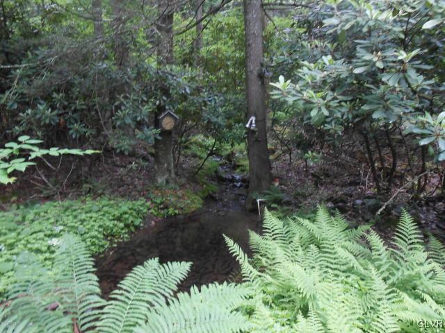 3497 Spruce Cabin Road Cresco, PA 18326 - Photo 16 of 22 a view of a garden with plants