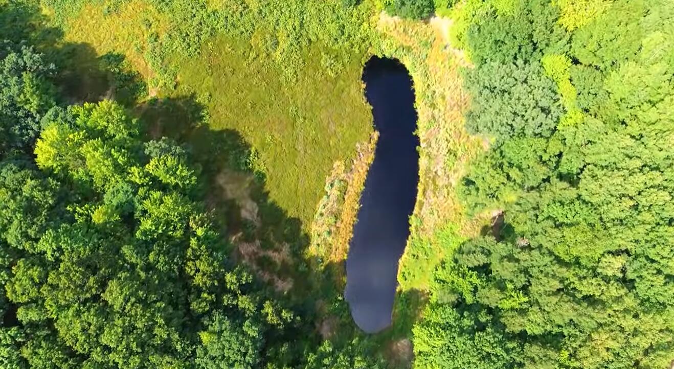 9557 East Anthony Road Branch, MI 49402 - Photo 6 of 98 pond