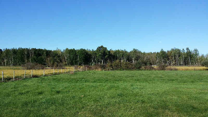 4090 School Road Rhodes, MI 48652 - Photo 18 of 18