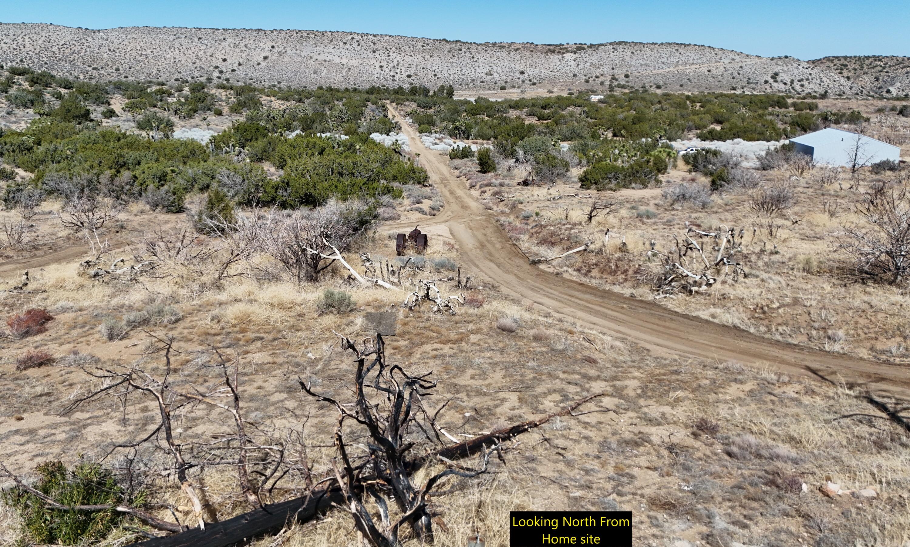 17120 Bob's Gap Road Valyermo, CA 93563 - Photo 24 of 26 a view of a dry field with mountains in the background