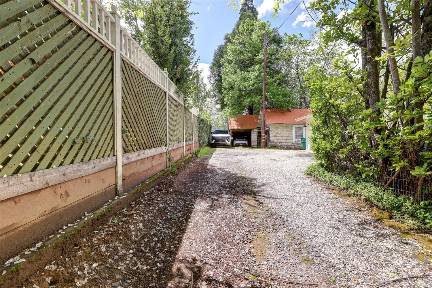 203 Prospect Street Nevada City, CA 95959 - Photo 74 of 99 a view of a backyard with a trees