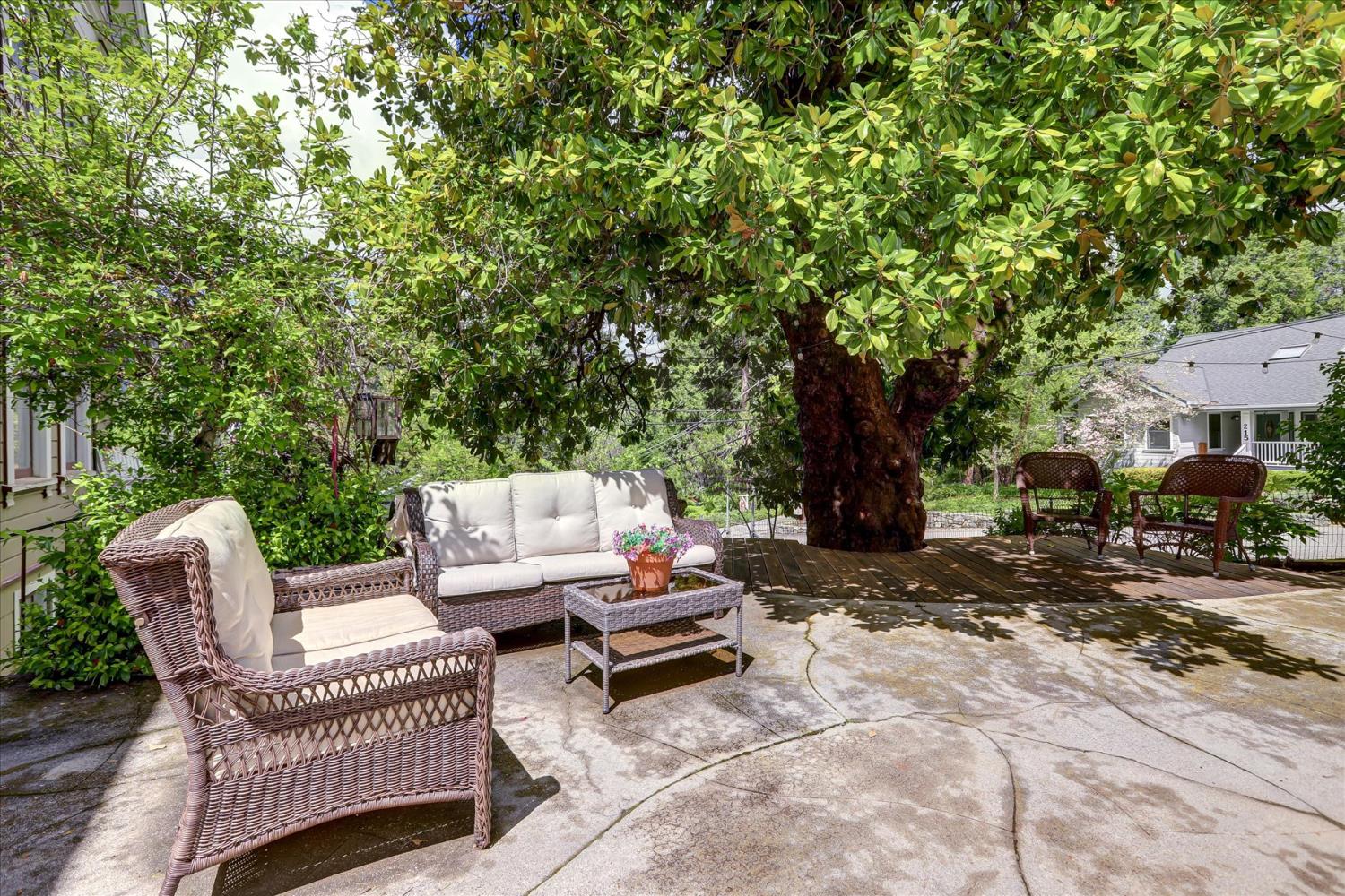 203 Prospect Street Nevada City, CA 95959 - Photo 82 of 99 a view of backyard with a table and chairs