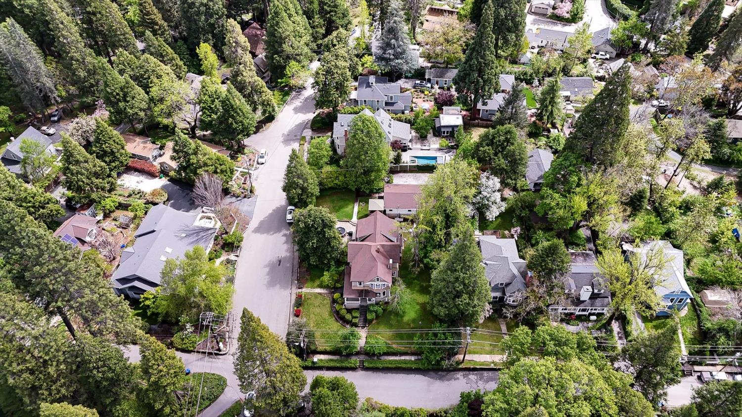 203 Prospect Street Nevada City, CA 95959 - Photo 89 of 99 an aerial view of residential house with outdoor space and trees all around
