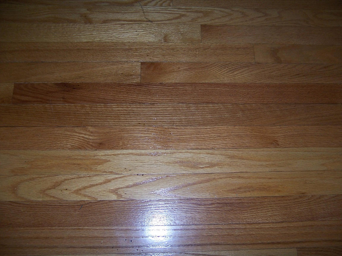 1646 Barnett Road Northwest Roanoke, VA 24017 - Photo 14 of 28 Hardwoods