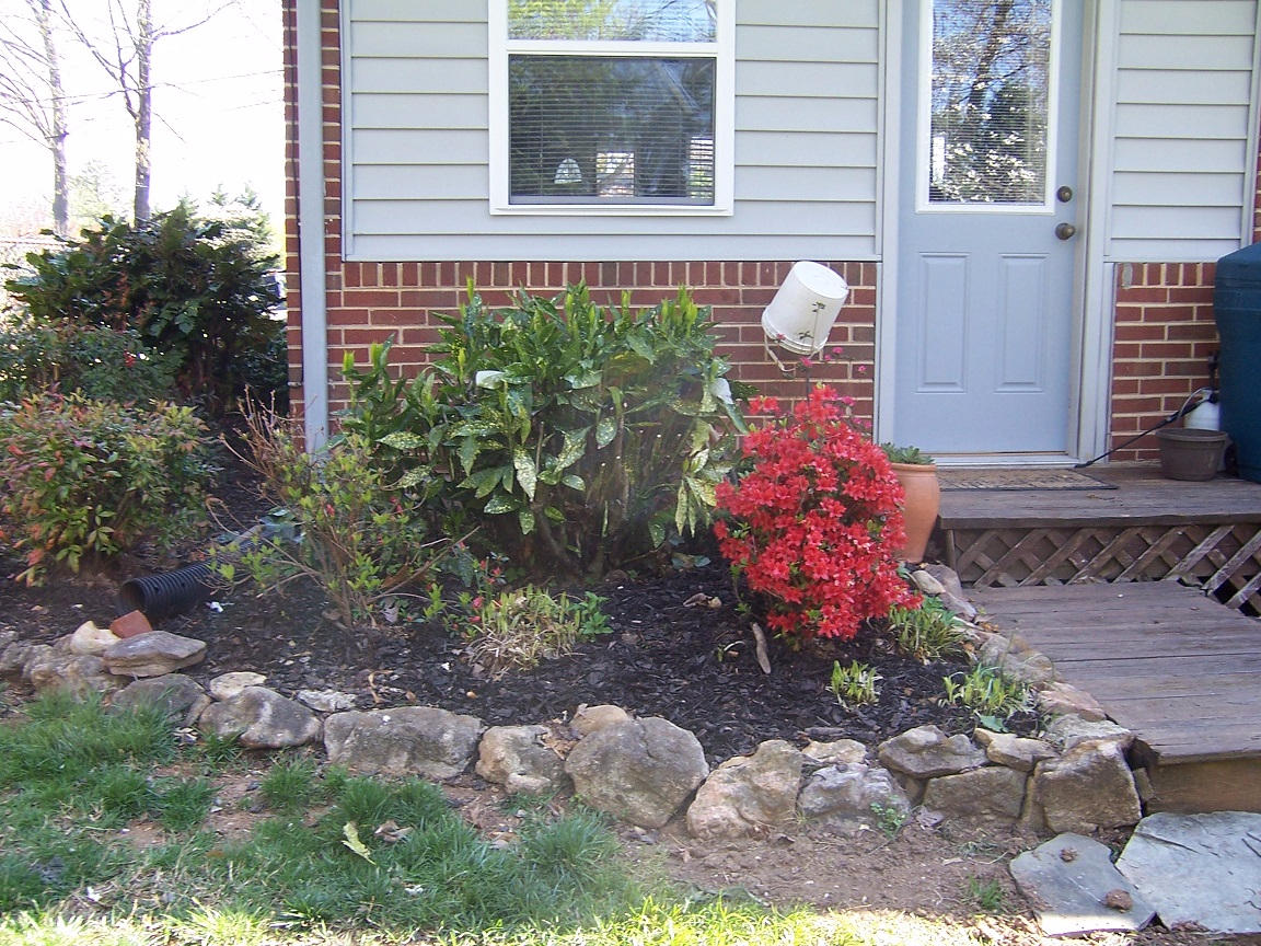 1646 Barnett Road Northwest Roanoke, VA 24017 - Photo 8 of 28 Landscaping