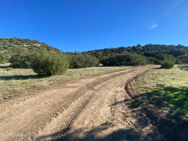a view of a field with an ocean