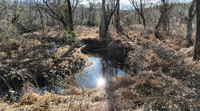 a view of a yard next to a building
