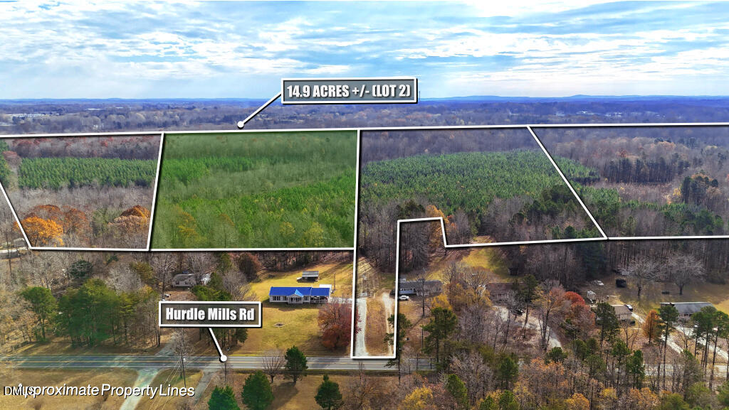 Lot 2 Hurdle Mills Road Roxboro, NC 27574 - Photo 2 of 12