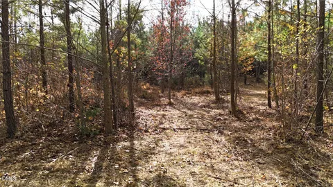 $140,000 | Lot 2 Hurdle Mills Road, Roxboro, NC 27574