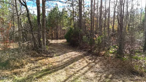 a view of a yard with trees in the background