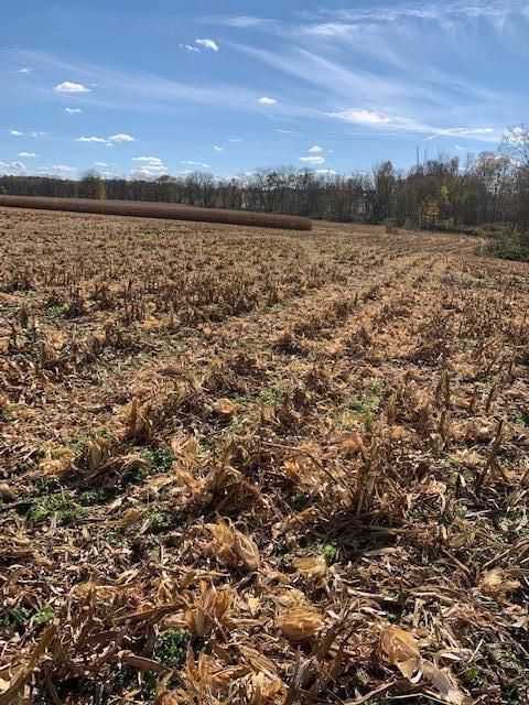 0 Burtnett Road Gambier, OH 43022 - Photo 2 of 10 IMG_7968