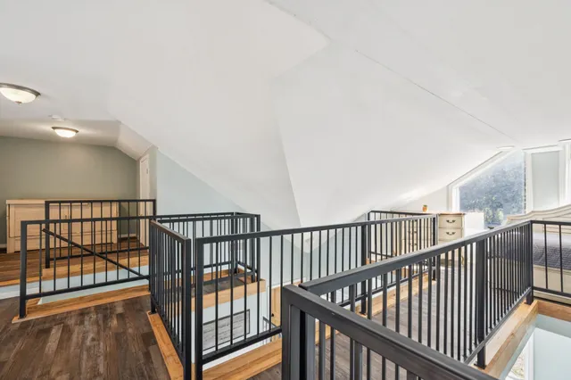 a view of a forest with a tree