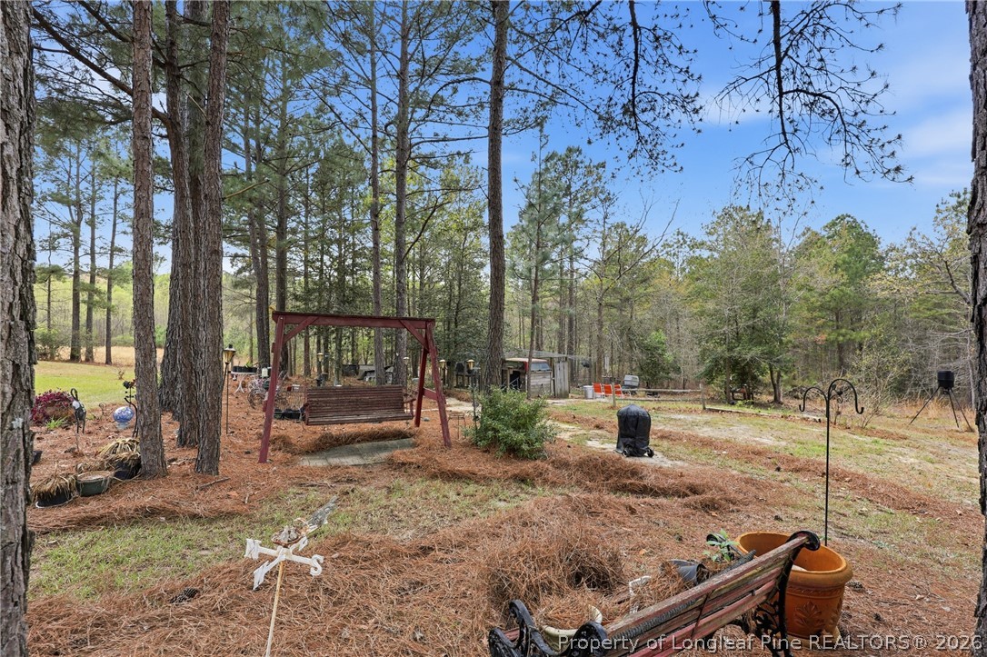 2798 Union Church Road Carthage, NC 28327 - Photo 36 of 37