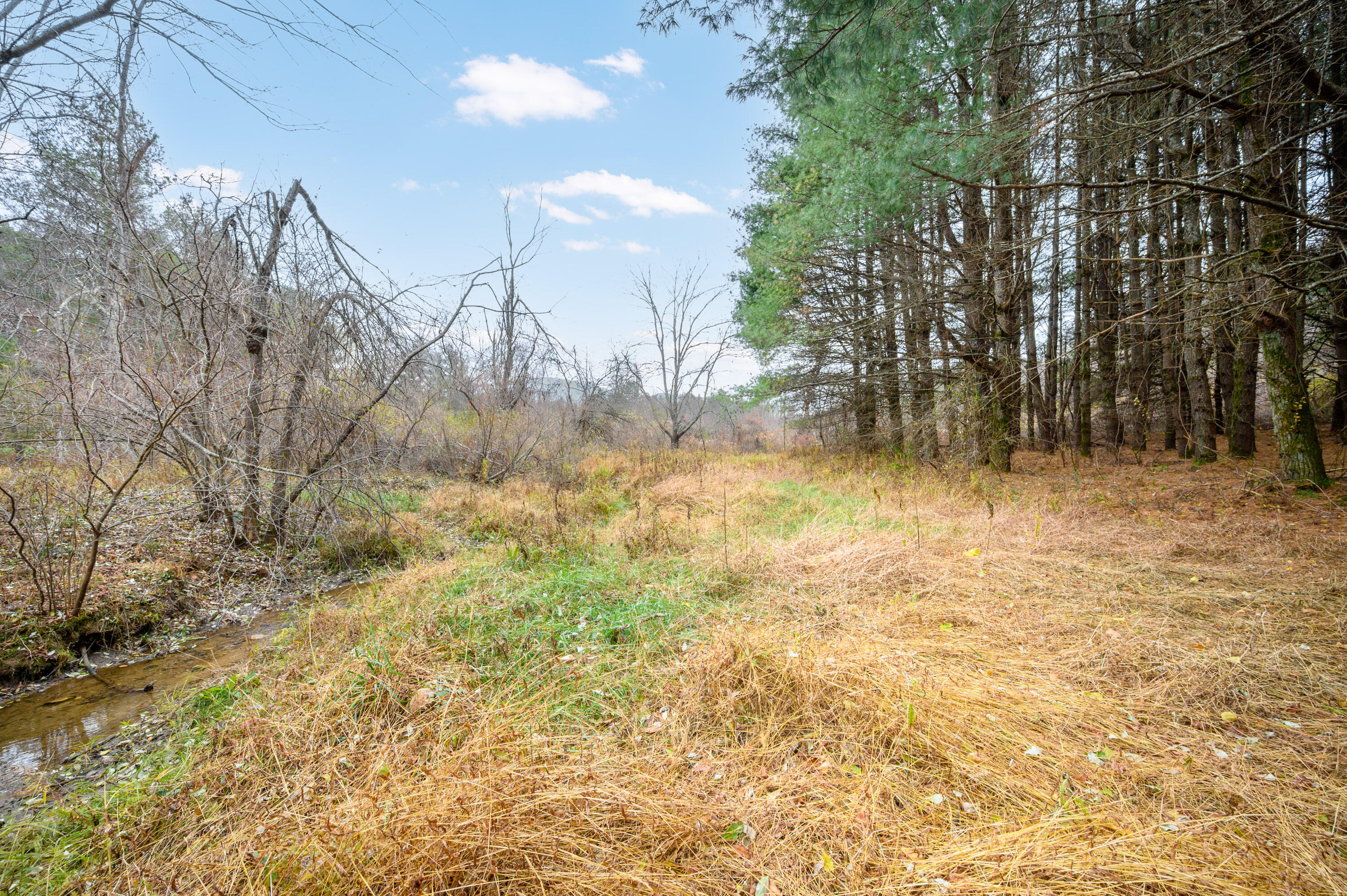 3150 Stonewall Road Northeast Check, VA 24072 - Photo 2 of 17 a view of backyard of a house