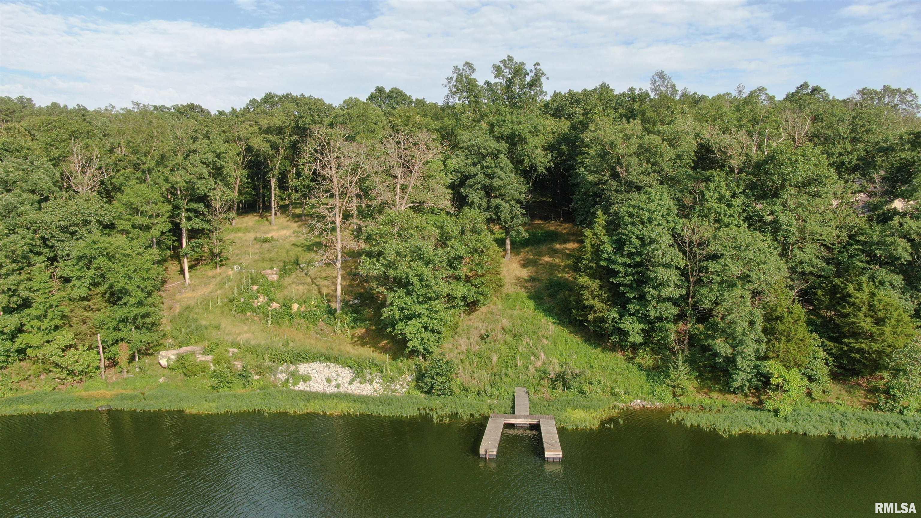 Lot 185 Parrish Ridge Lane Goreville, IL 62939 - Photo 4 of 7
