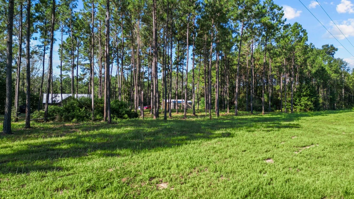 13052 Fm 1818 Huntington, TX 75949 - Photo 12 of 44 Cleared and under brushed property