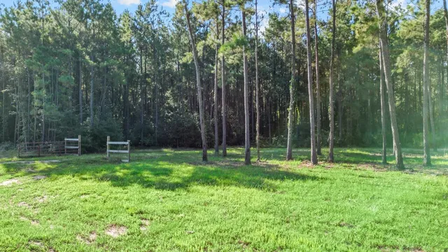 a view of a backyard with a trampoline