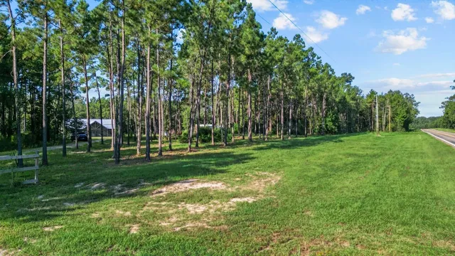 a view of a park with large trees